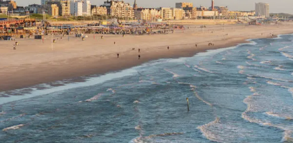 헤이그 관련 이미지