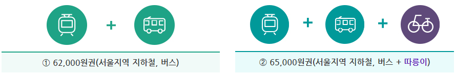 기후동행카드의 가격