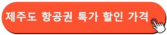 제주도 항공권 특가