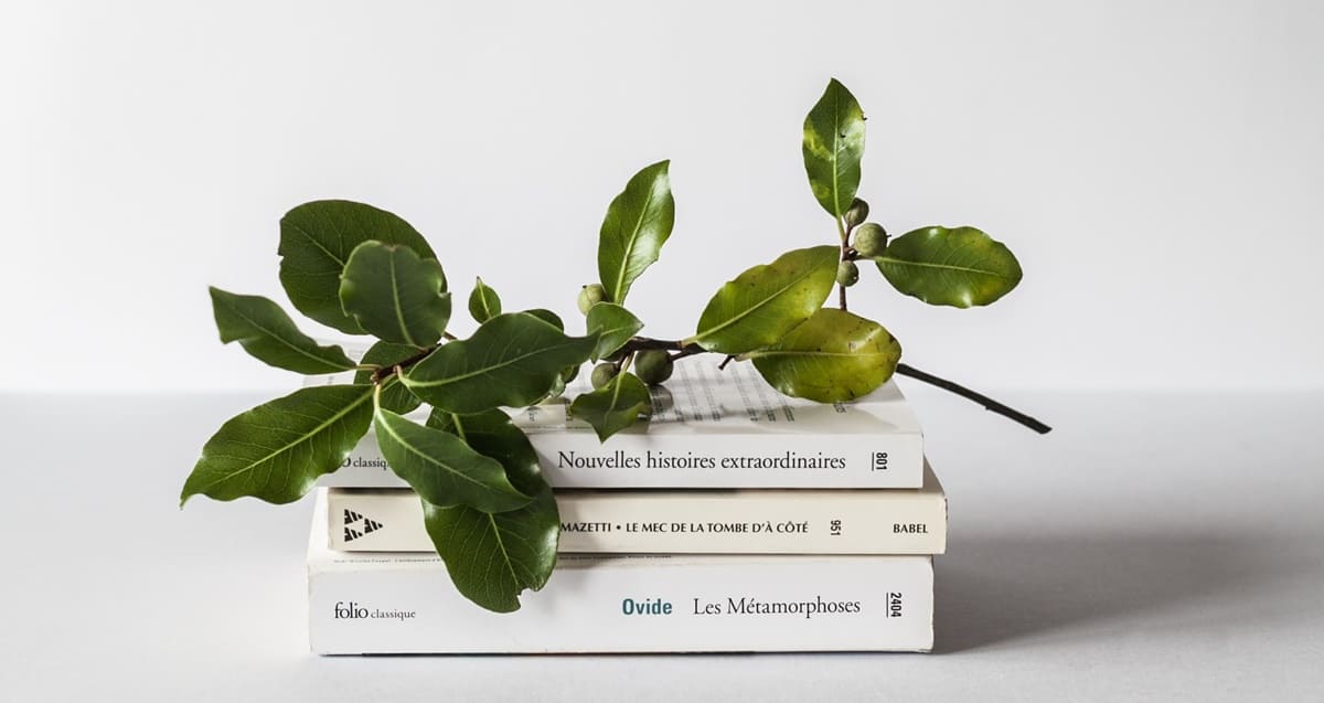 전자책무료다운로드