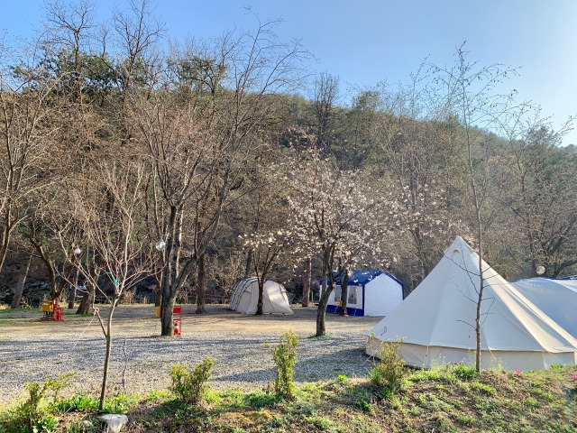 남양주 초대형 캠핑장, '물동네 힐링캠프' 미리보기