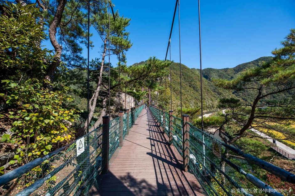 충주 가볼만한곳 베스트10
