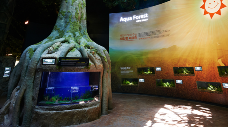 여수 아쿠아플라넷