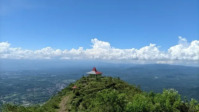안동 시외버스터미널 시간표 예매 요금_6