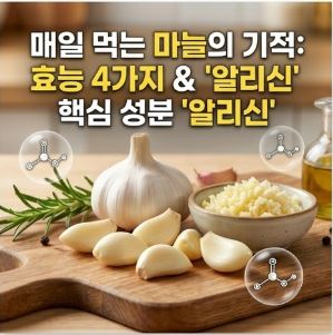 마늘 효능