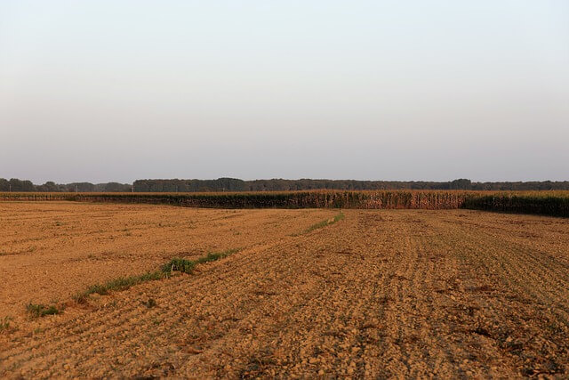 땅꿈, 땅속에 빠지는 꿈, 땅에서 발견하는 꿈, 땅꿈해몽