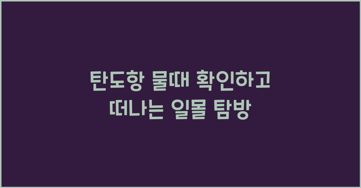 탄도항 물때