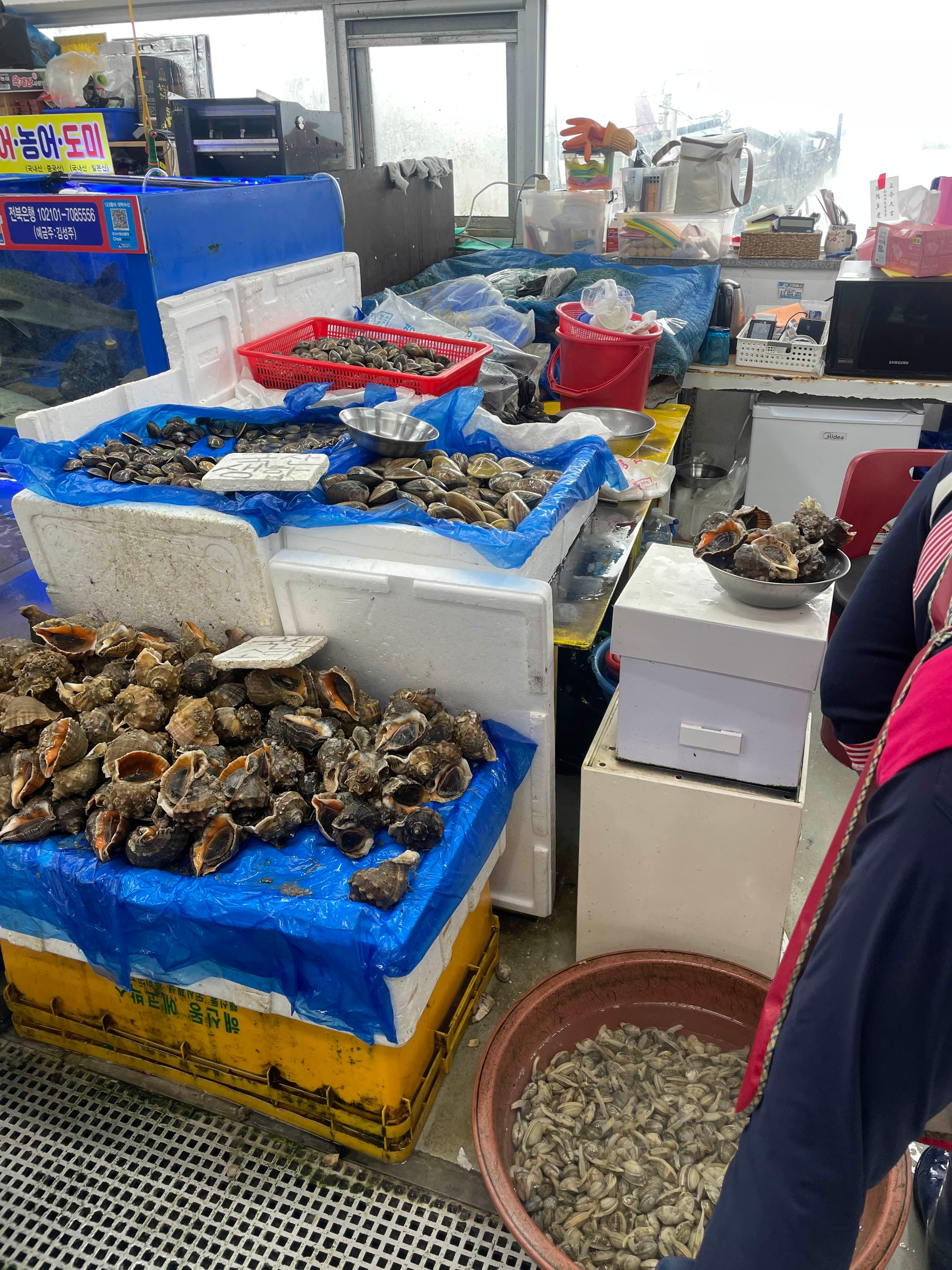 군산여행 필수 코스 군산수산물종합센터