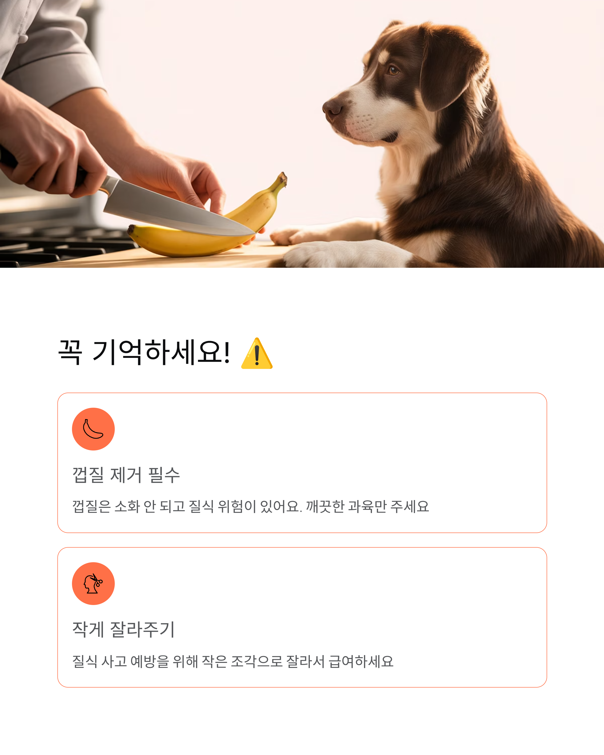 강아지 바나나 먹어도 되나요 급여량 효능 주의사항 - 완벽 가이드! 🍌