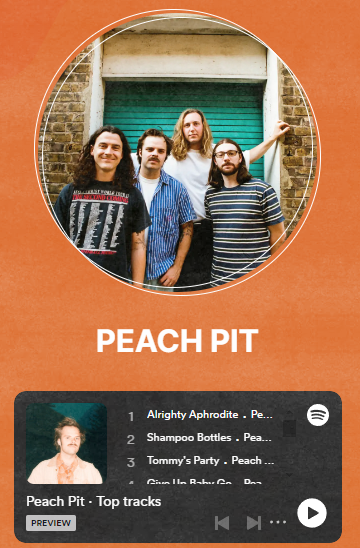 HAVE A NICE TRIP 2024 고양 뮤직페스티벌