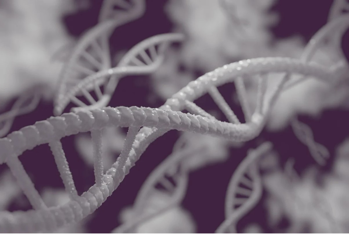 개인맞춤의학: CRISPR 기술과 유전체 편집의 미래