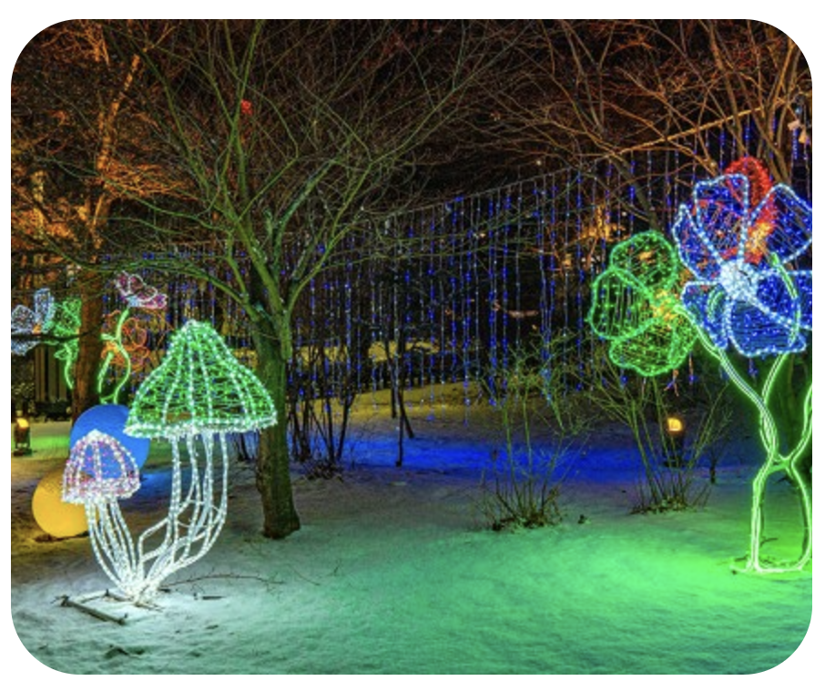 태백산 눈축제 프로그램