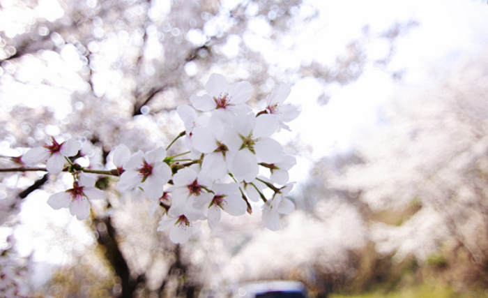 국립자연휴양림