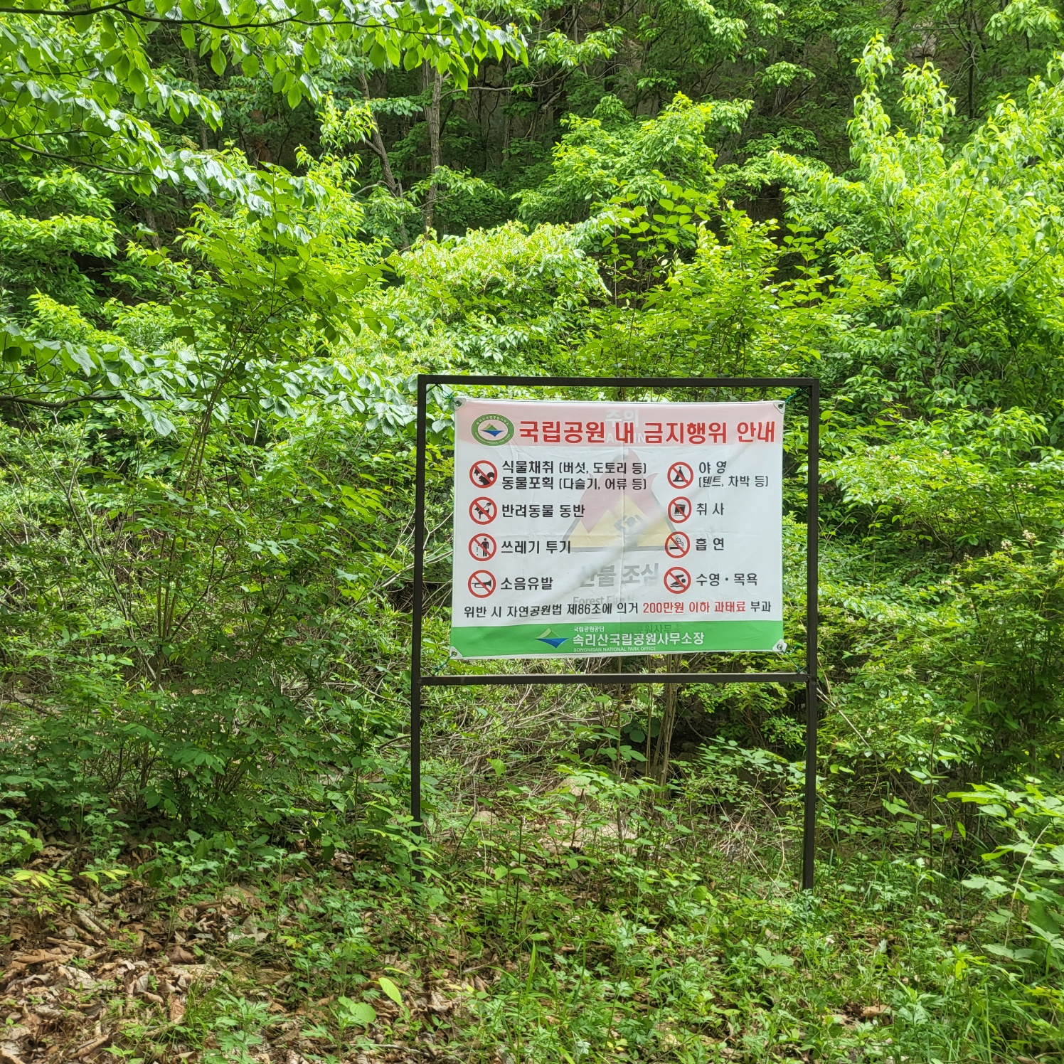 속리산 문장대(아이와 등산하기)