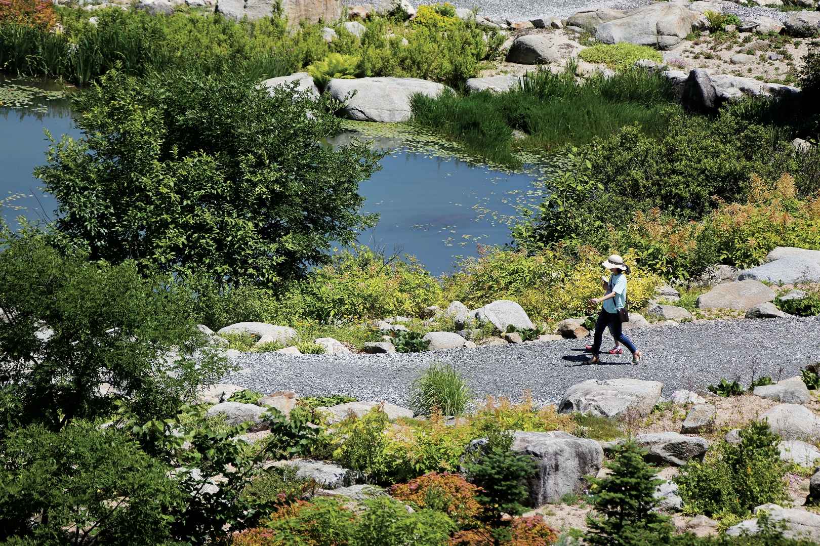 국립백두대간수목원