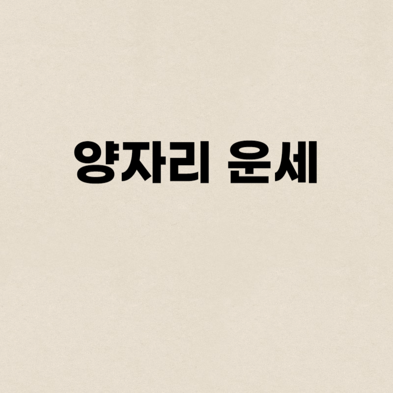 양자리 운세