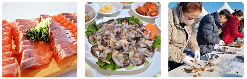 홍성 남당항 새조개 축제