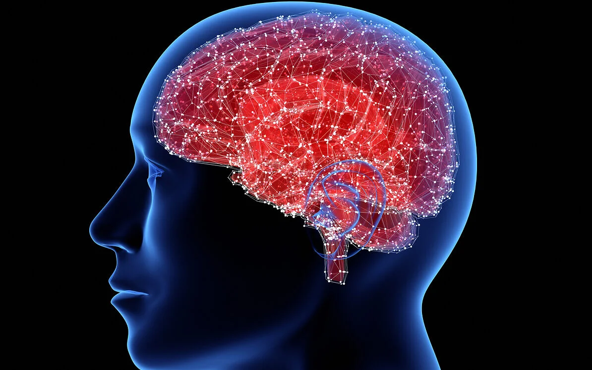 포스파티딜세린