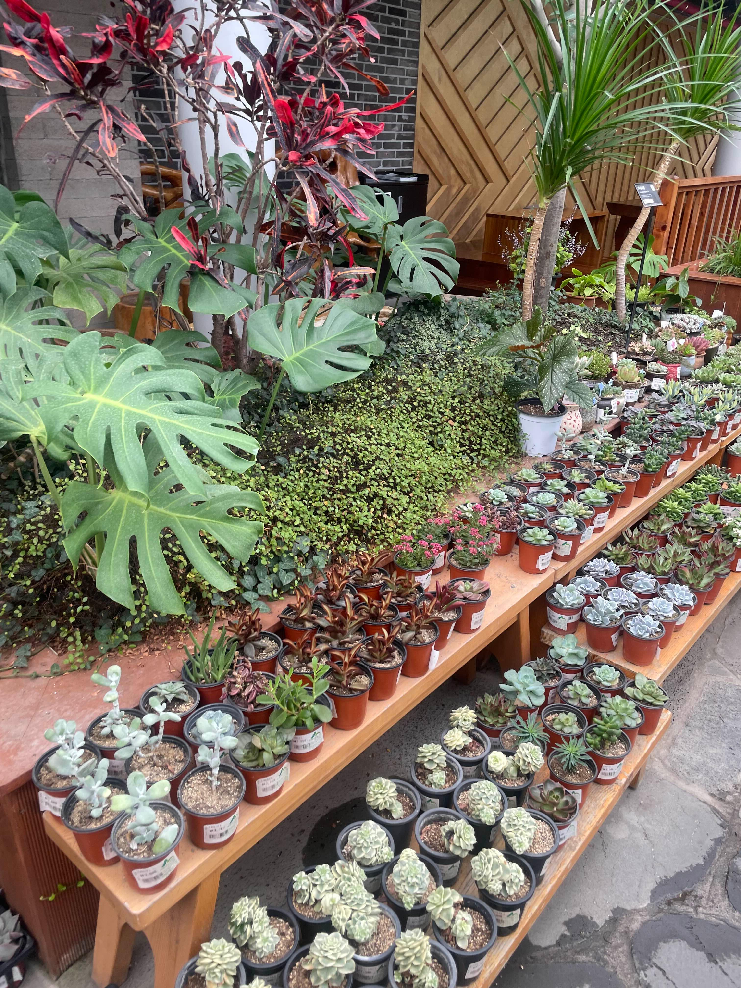 포항 산림조합 숲카페 방문 후기