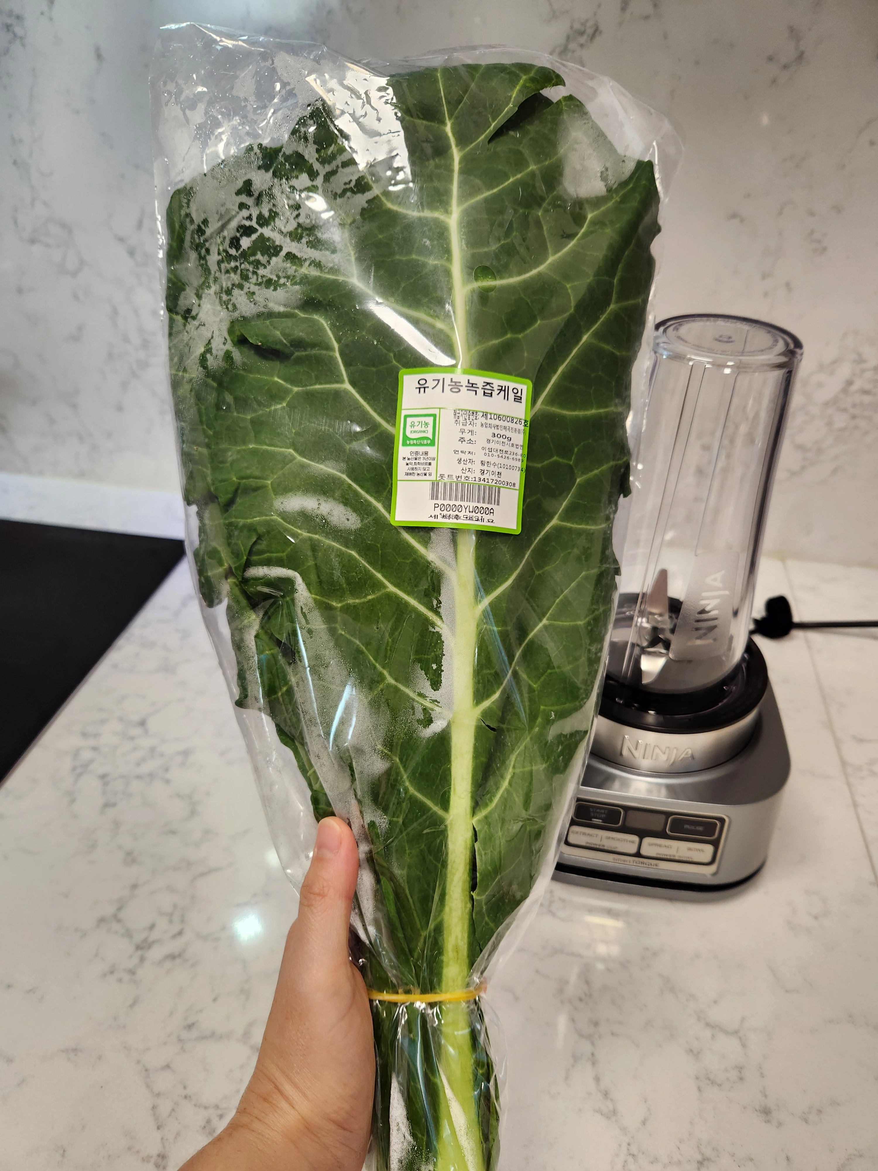 즙용 케일