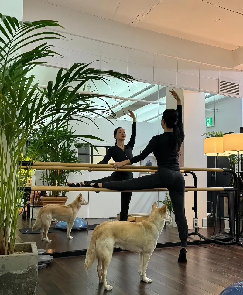 엄정화,박미선,연예인 암투병,갑상선암,디바 엄정화,엄정화 투병 고백,박미선 암 고백,연예인 건강 이야기,암 극복 사례,가수 엄정화,반려동물 힐링,연예인 반려견,목소리 회복,여자 연예인 투병,회복과 치유,갑상선암 증상,여자 가수 암,유방암,비인두암,간암,자궁근종,연예인 건강 회복,희망 이야기,힐링 스토리,여성 건강