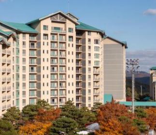 노타 균등 배정