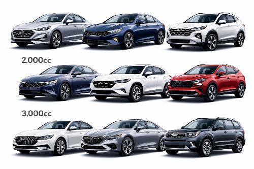 국산차 배기량별 차 종류