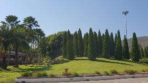 로얄 파크 라짜프룩