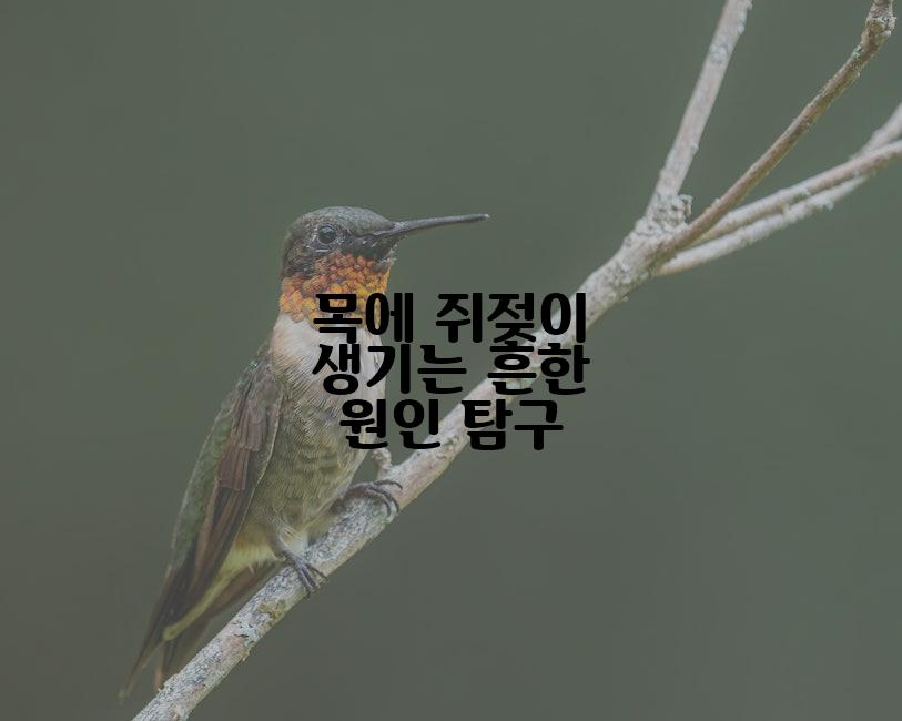 목에 쥐젖이 생기는 흔한 원인 탐구