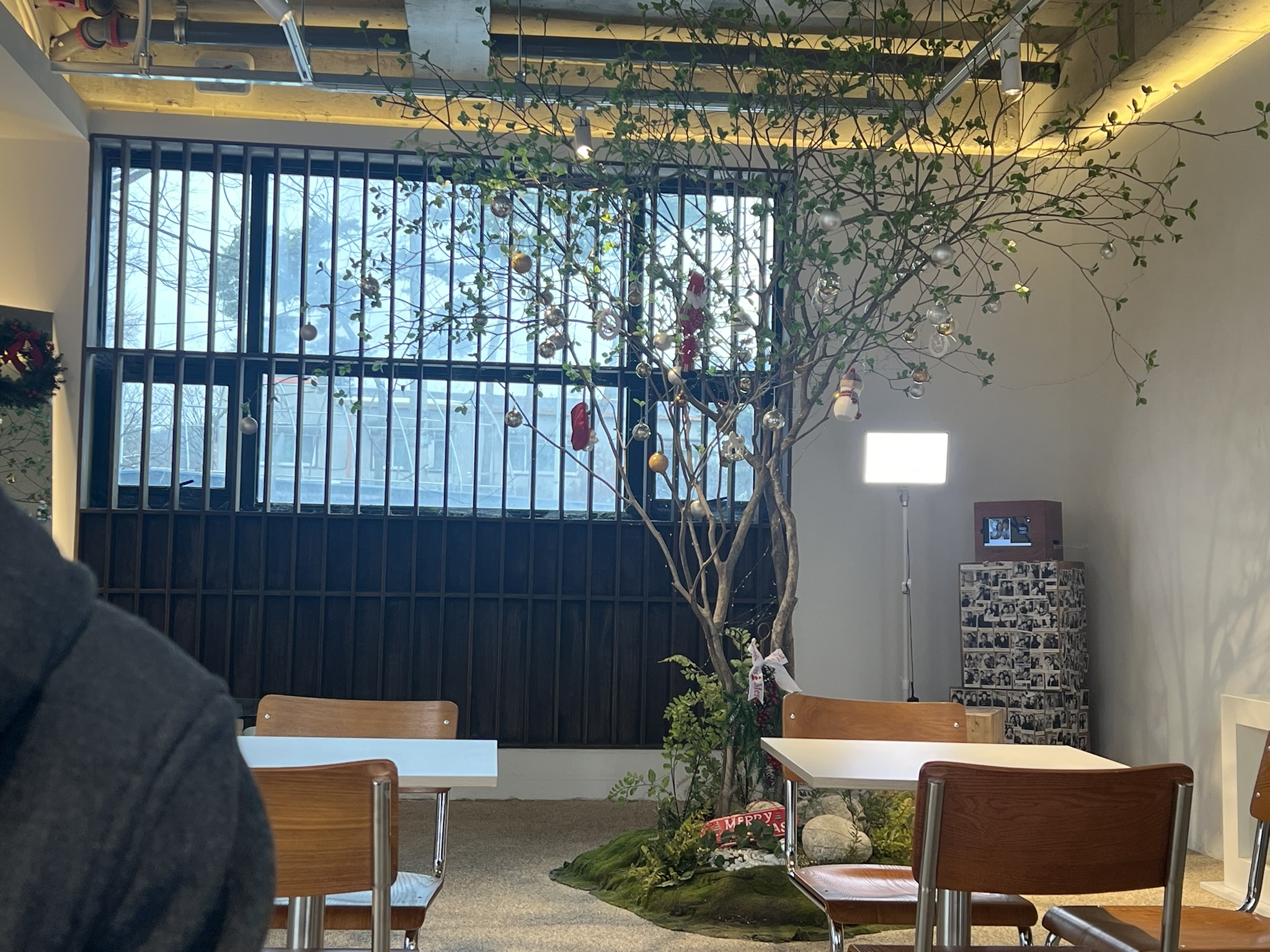 과천-조용한-카페