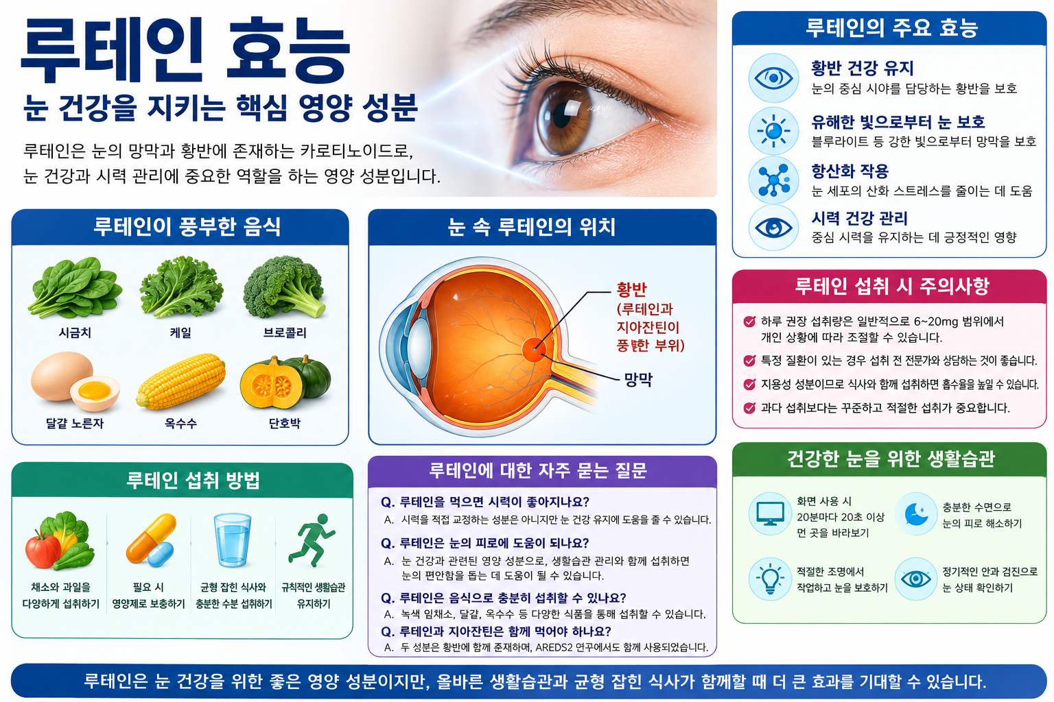 루테인 효능 관련 자료