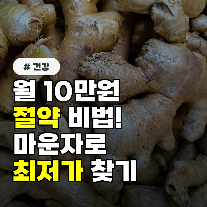 1인당 월 10만원 절약! 마운자로 최저가 찾는 '이 어플' 활용법
