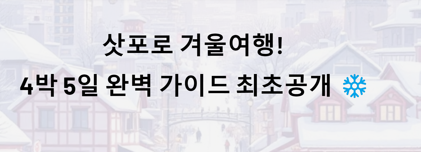 삿포로 겨울여행