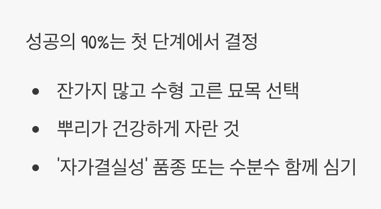 첫 단추가 중요해요, 튼튼한 모종 고르기