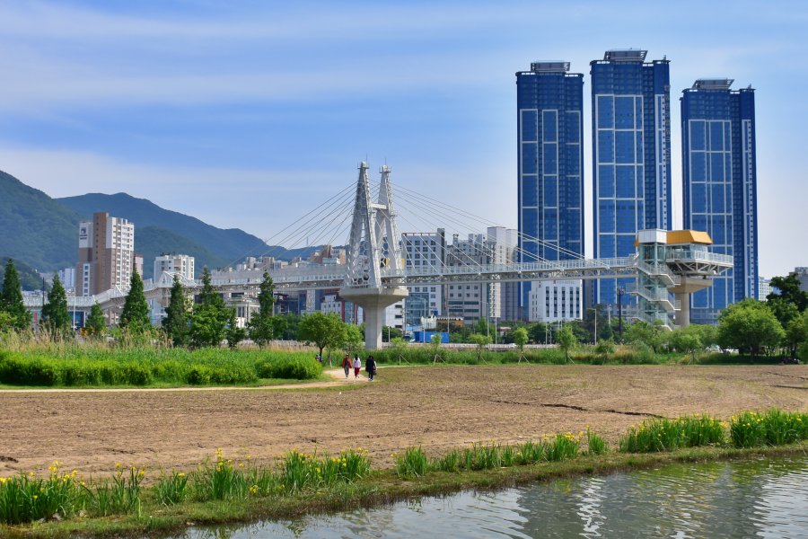 금빛노을브릿지