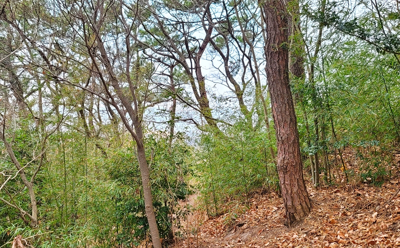 수요 예배 대표 기도문 1월 넷째 주