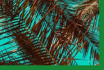 여름철건강관리