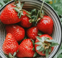 류마티스 관절염에 좋은 음식 영양제 식단