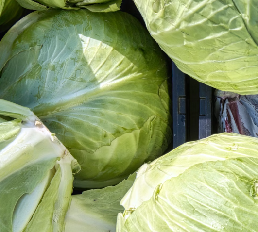 양배추 효능과 부작용 칼로리
