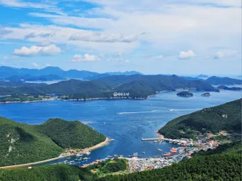 통영 맛집 추천 현지인 강추 해산물 전문점 소개_14