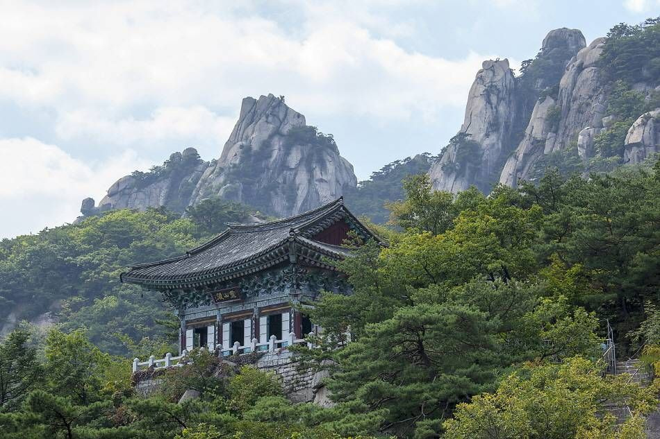온라인 산사 60만 명 방문 열풍 정리 이미지