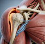 어깨 회전근개파열 증상 원인 치료방법