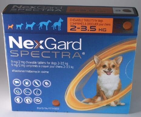 넥스가드-스펙트라-초소형견-전용-약-상자-사진입니다.
