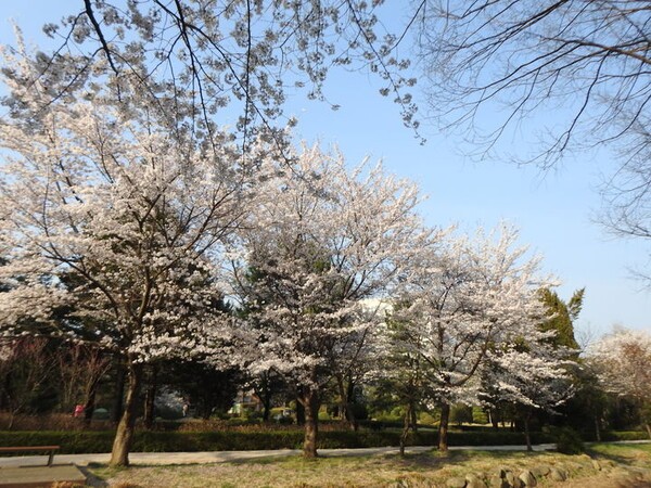 경기도 1박 2일 여행지 추천 베스트 5곳 총정리