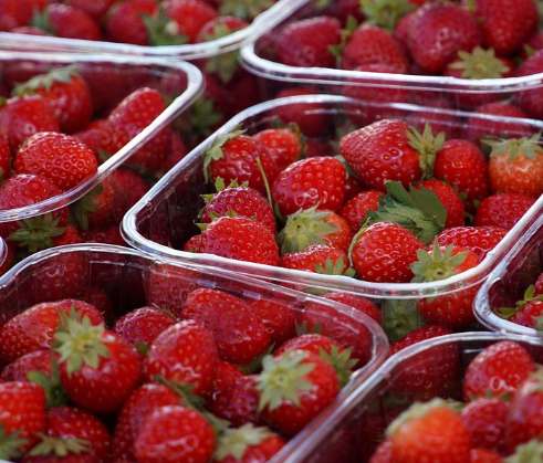 농작물 재해보험의 필요성과 대상품목