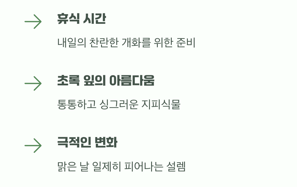 흐린 날에도 실망하지 마세요