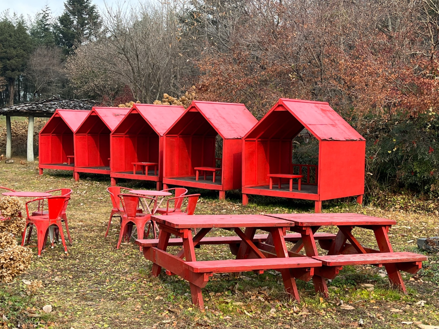 충남 보령 개화예술공원