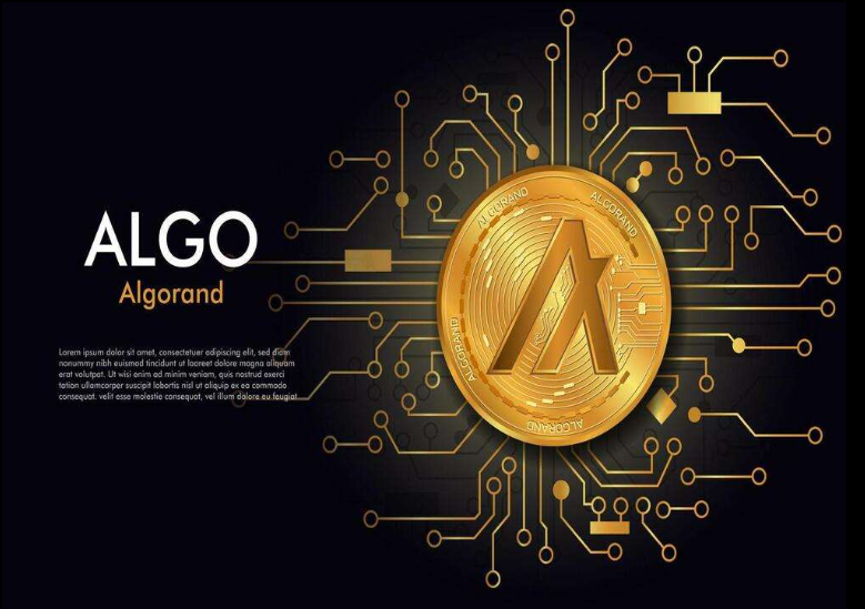 알고랜드 코인 관련사진