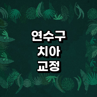 인천 연수구 교정 치과