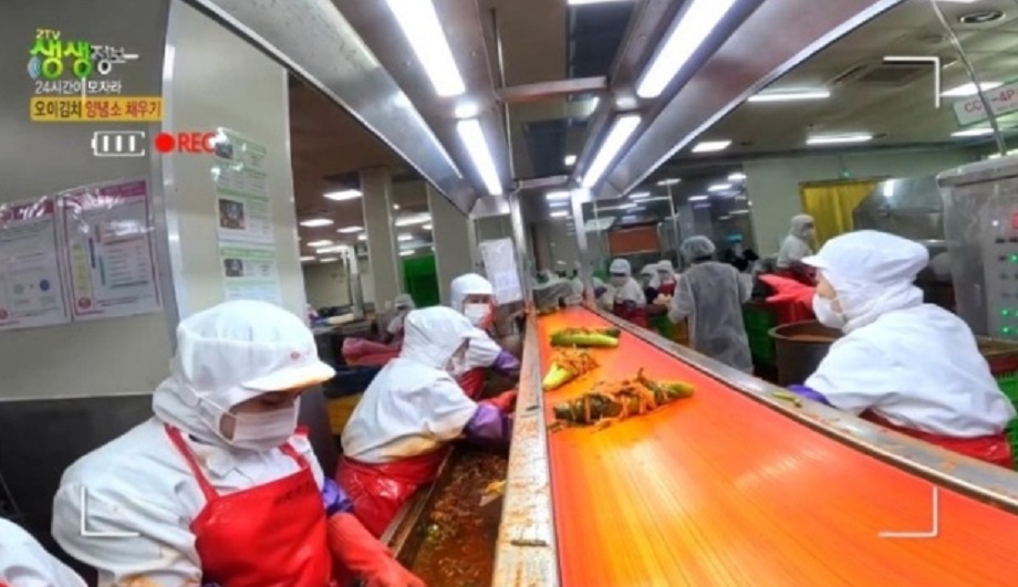 극한직업-여름김치-파주-김치공장-도미솔김치